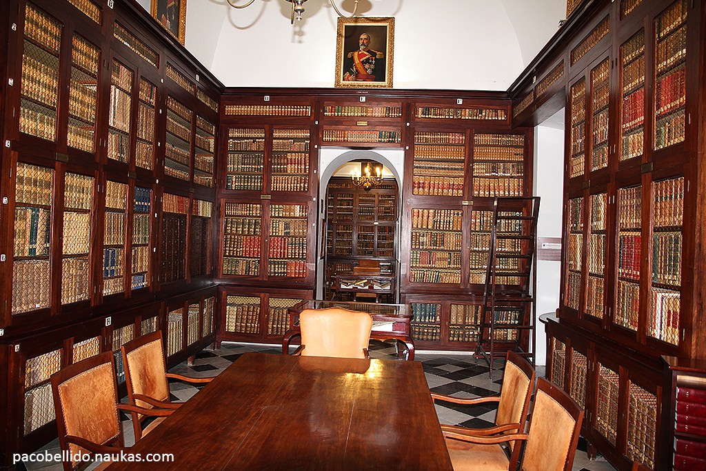 Una de las salas de la magnífica biblioteca del ROA. Foto: © Paco Bellido